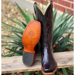 Ladies Fenoglio Black Cherry Smooth Ostrich 11 Ladies Fenoglio Black Cherry Smooth Ostrich -Caboot Store 20230323 134539